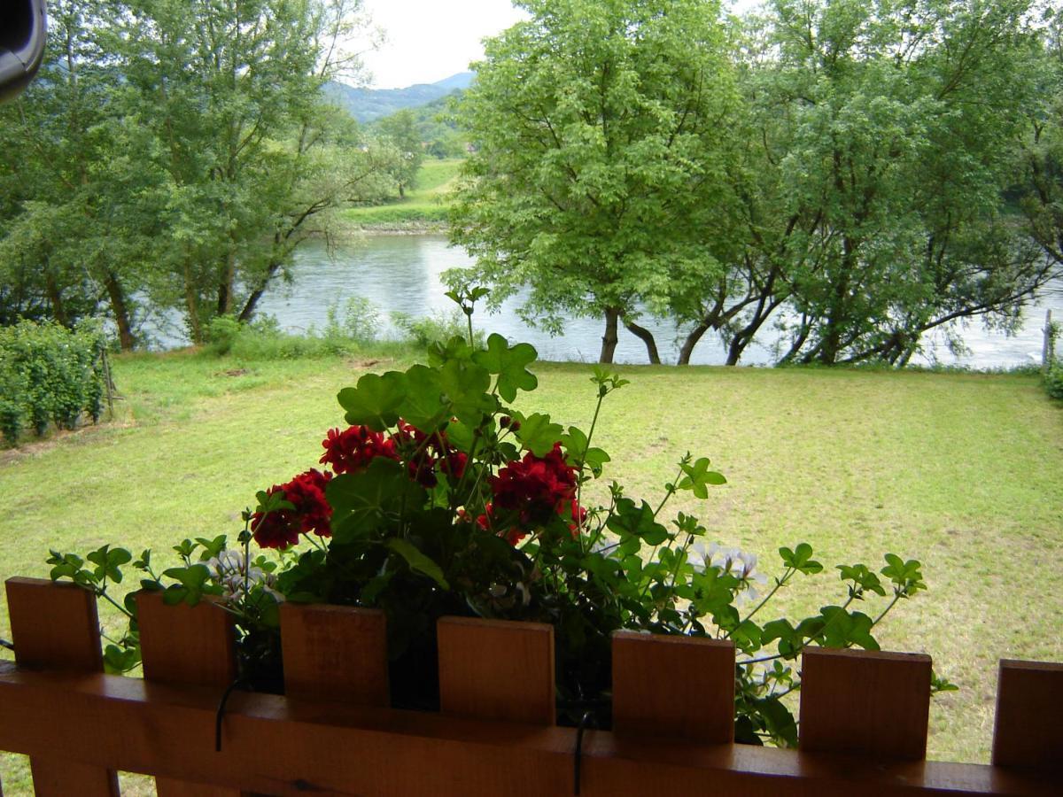 Drinska Tisina Villa Ljubovija Exterior foto