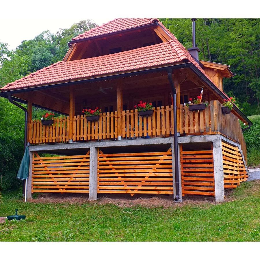 Drinska Tisina Villa Ljubovija Exterior foto